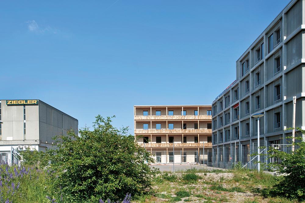 Die Holzbalkone an der Westfassade des Hauses in Basel sind nicht nur Aufenthaltsbereiche, sondern mit ihrer Verschattungswirkung auch Teil des Klimakonzepts.