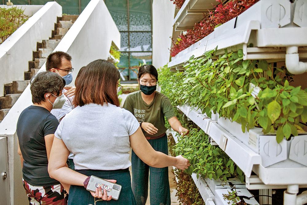 Urbane Nahrungsmittelproduktion zwischen technischer Innovation und sozialem Engagement: die Citizen Farm in Singapur