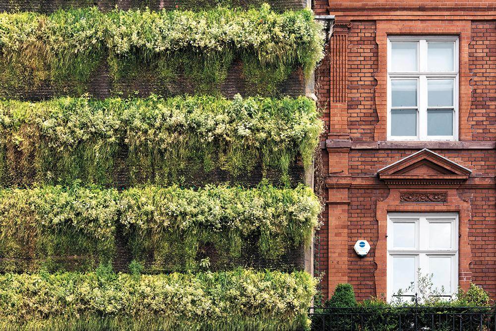The Vertical Meadow – das begrünte Baugerüst vor St Mark’s Church in Mayfair als Habitat für Vögel und Insekten