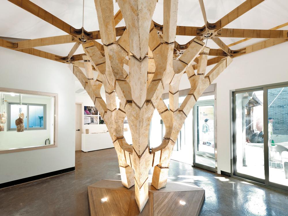 Vorstellung des MycoTree im Rahmen der Seoul Biennale of Architecture and Urbanism 2017