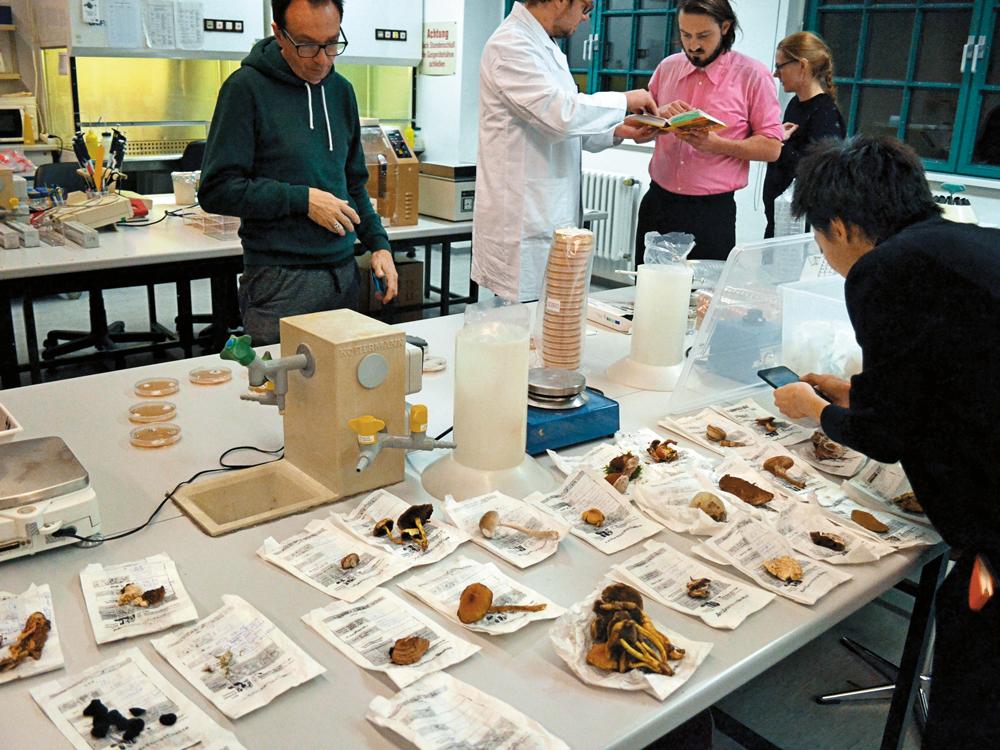 Das Mind the Fungi-Projekt schlägt eine Brücke zwischen Wissenschaft, Kunst, Design und Öffentlichkeit.