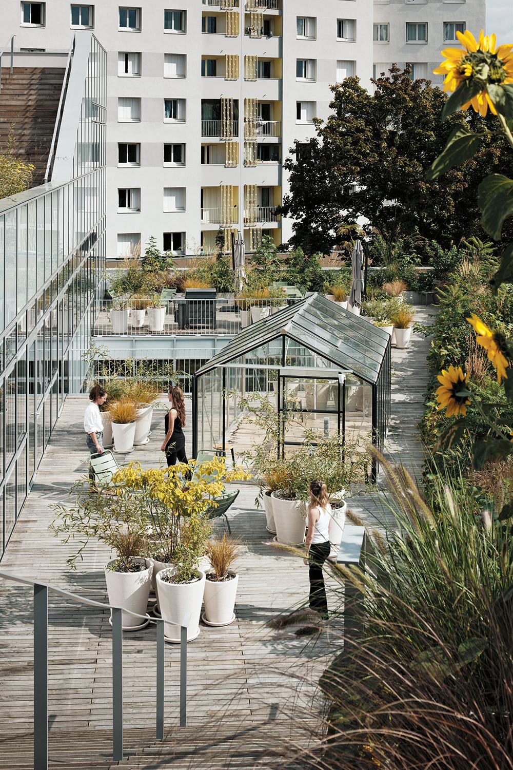 Nur das Glashaus im obersten Geschoss dient teilweise dem Gemüseanbau. Seine Pendants weiter unten auf den Dachterrassen sind als Rückzugsorte und Besprechungsräume konzipiert.