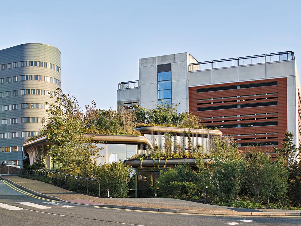 Mit den üppigen Gärten auf dem Dach des Maggie’s Centre erhielt die letzte, unversiegelte Fläche des St. James’s Hospital in Leeds ein grünes Upgrade.