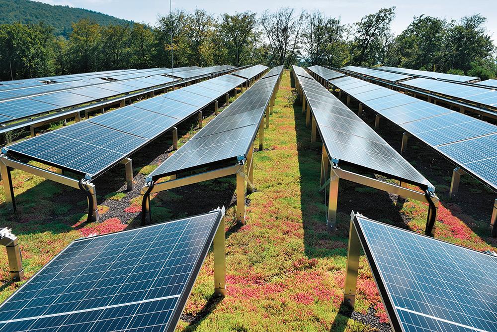 Solargründächer von Optigrün schaffen mit ihren Synergieeffekten einen Mehrfachnutzen für die Energiewende, Klimaanpassung, Ressourcenschonung und Biodiversität.