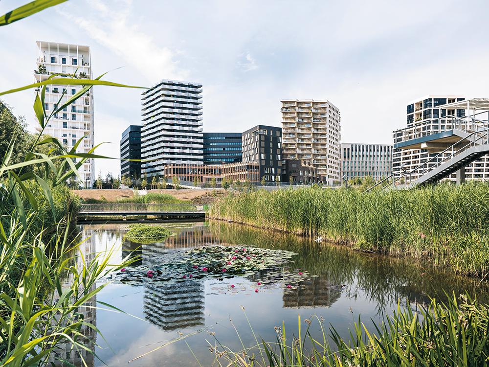 Zum Park hin lockert sich der Blockrand auf zu schmalen hohen Wohnbauten.