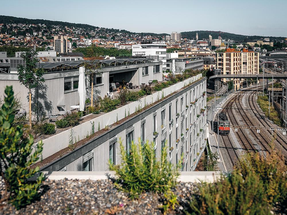Die Architekten gaben nur Pflanztröge, Tische und Bänke auf den Dachterrassen vor. Die Bewohner können sich die gemeinschaftlichen Flächen aneignen und dort ihre eigenen Ideen verwirklichen.