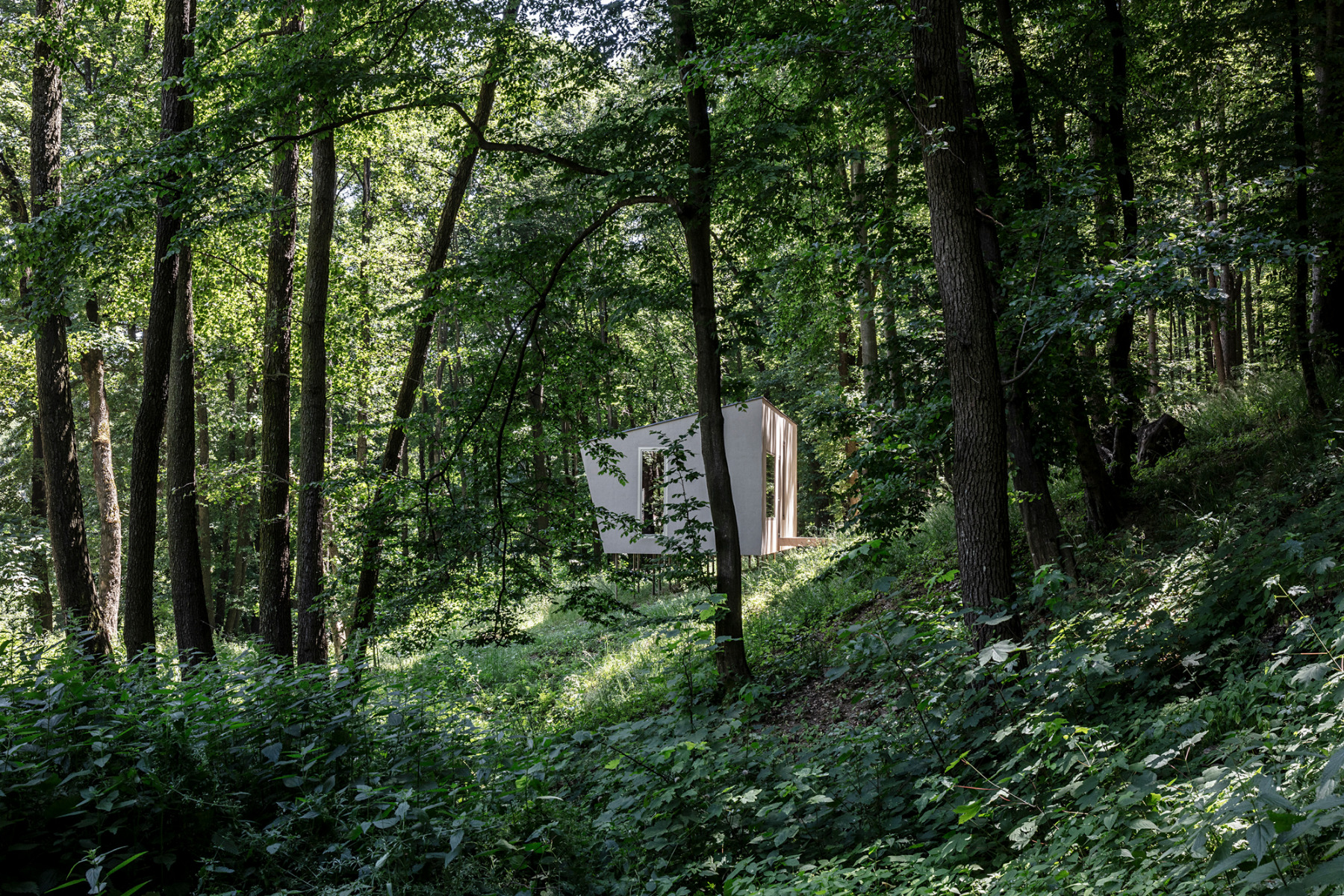 Cabin Moss von Béres Architekten