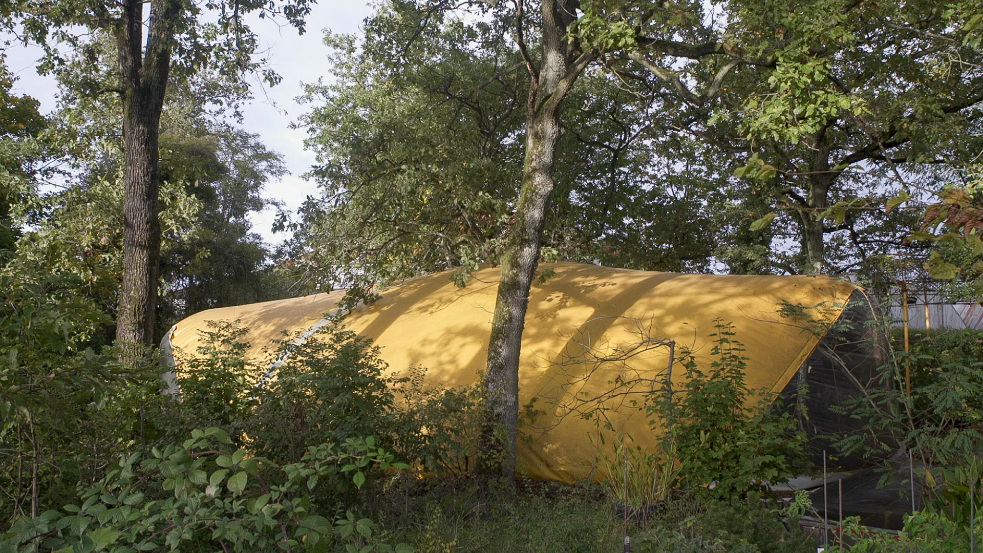 Belvédère, La Ferté-Alais, 1975/2010