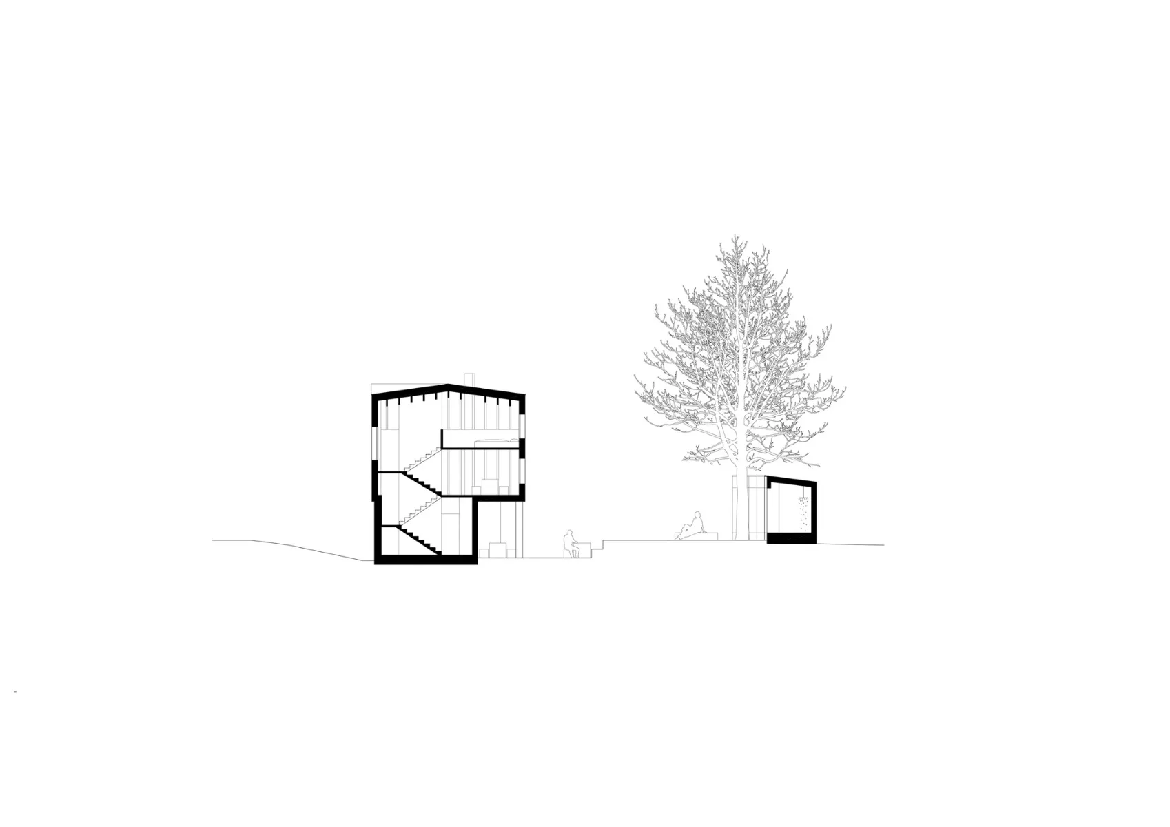 Längsschnitt, Grafik