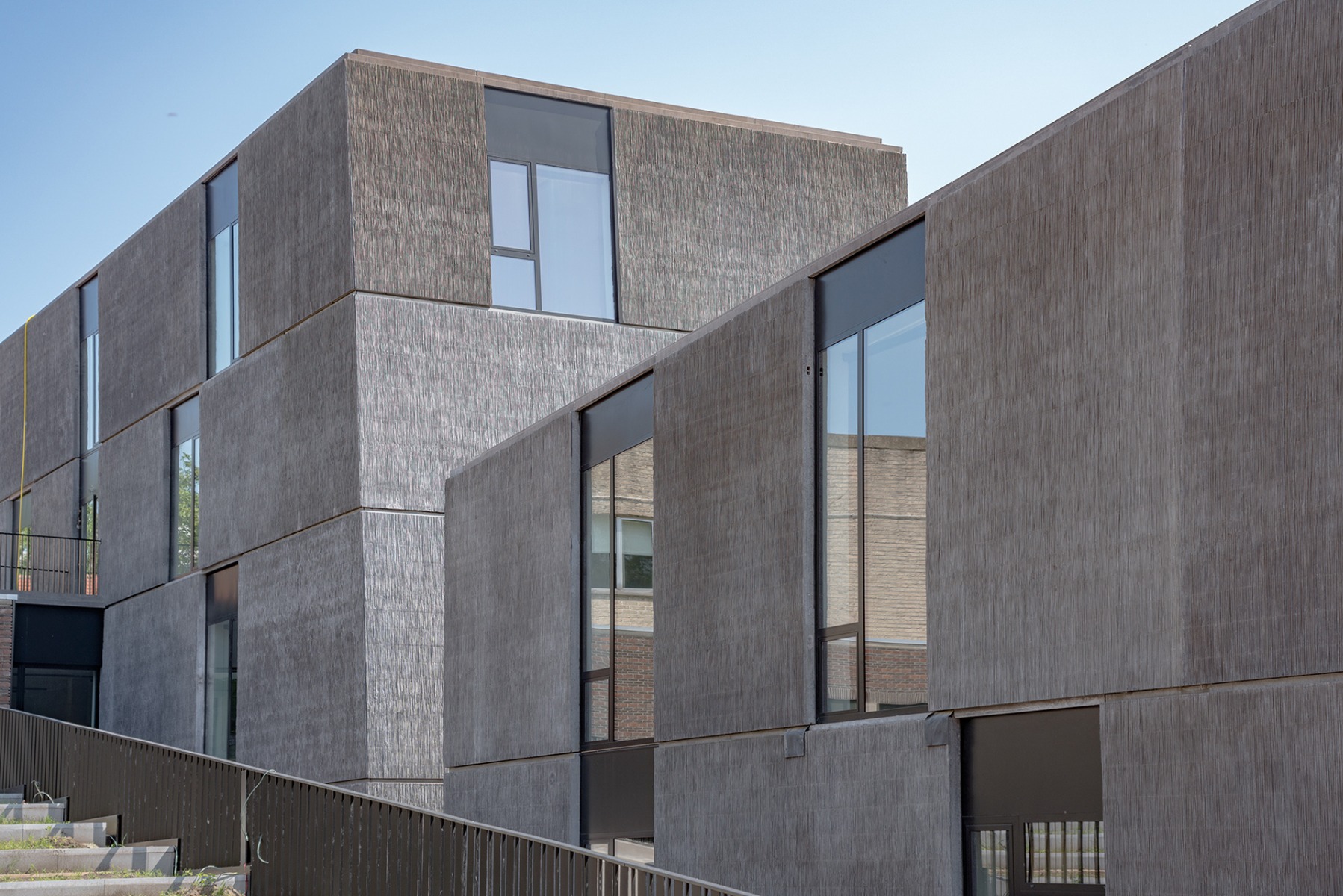 Schilf in der Betonfassade