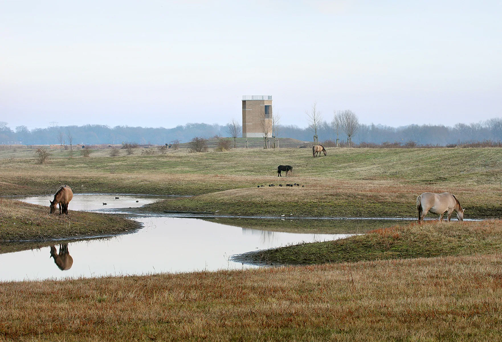 Observation Tower, Negenoord by De Gouden Liniaal Architecten