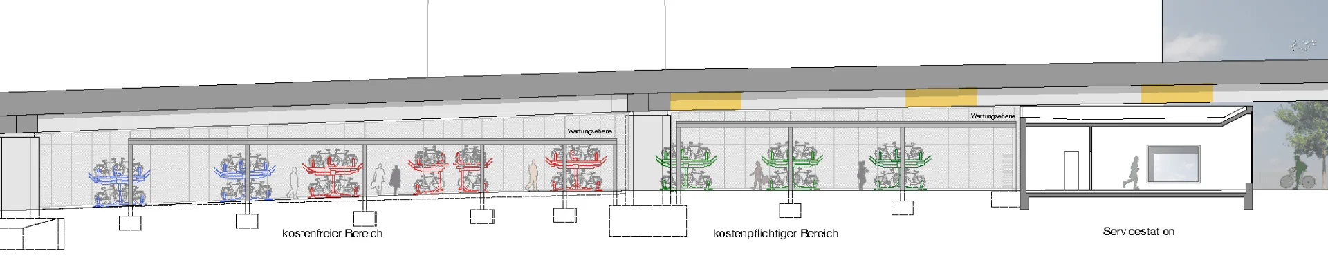 Längsschnitt, Grafik
