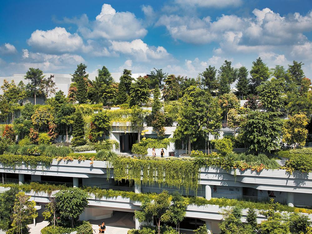 In Singapur leben knapp 6 Millionen Menschen auf 730 km2 – eine Fläche so groß wie Hamburg. Nach den Vorstellungen von Woha-Mitgründer Richard Hassell soll der Stadtstaat im Jahr 2100 eine klimapositive Megacity sein.