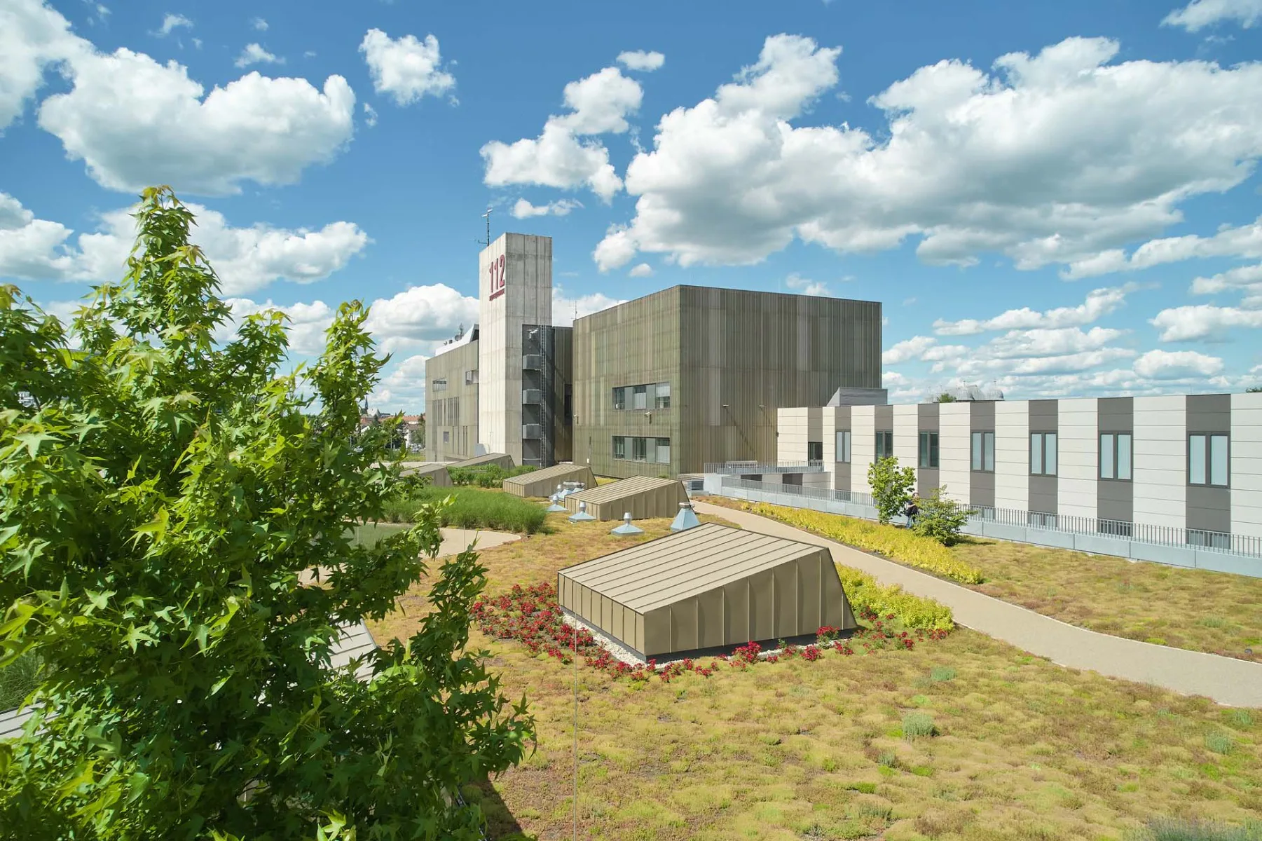 Architekten als Klimaretter