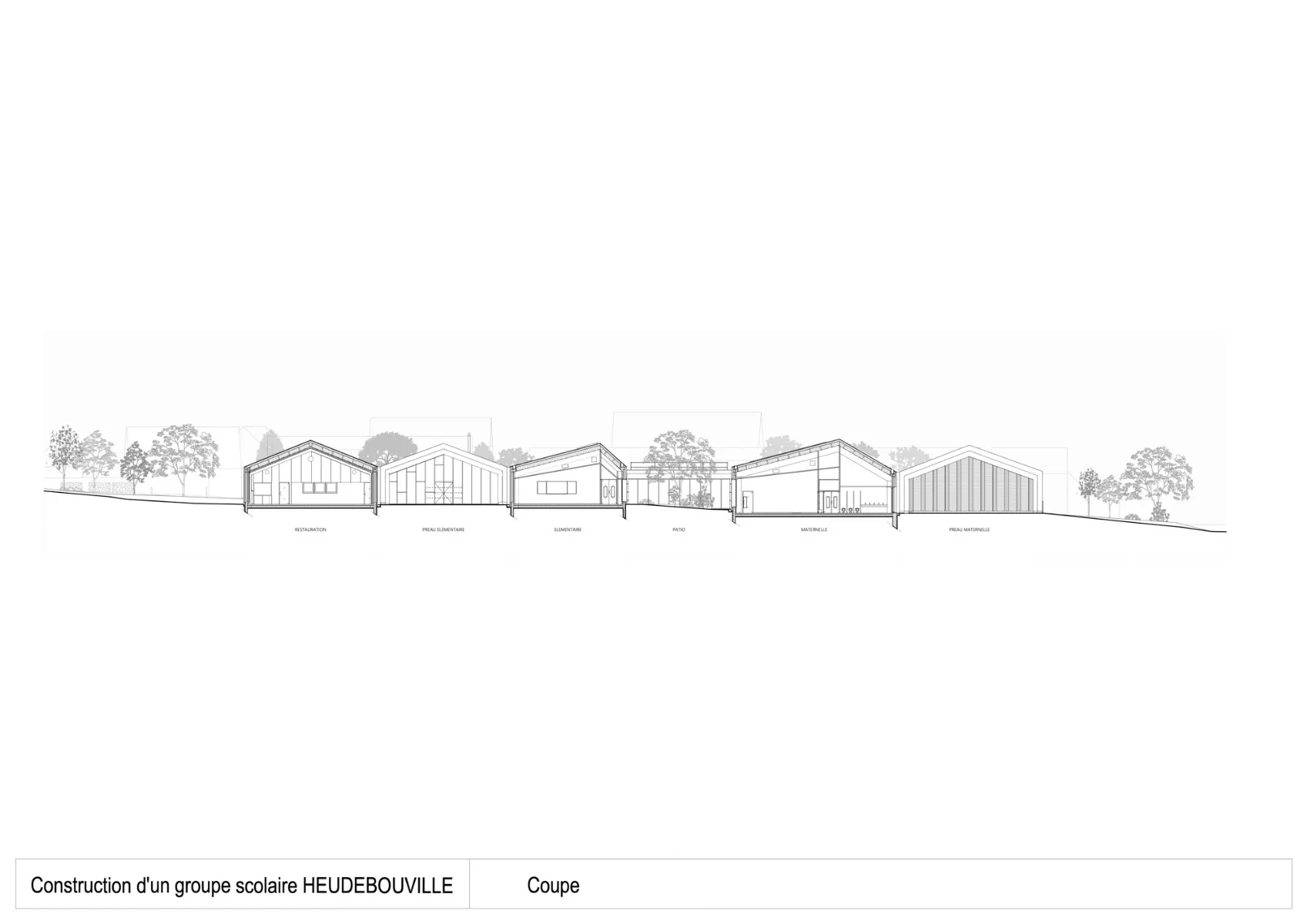 Section, Graphic