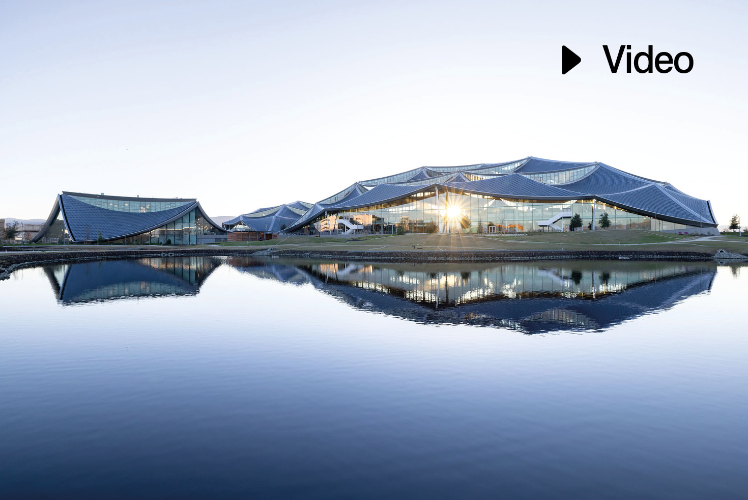 Google Bay View - Petersdom der IT