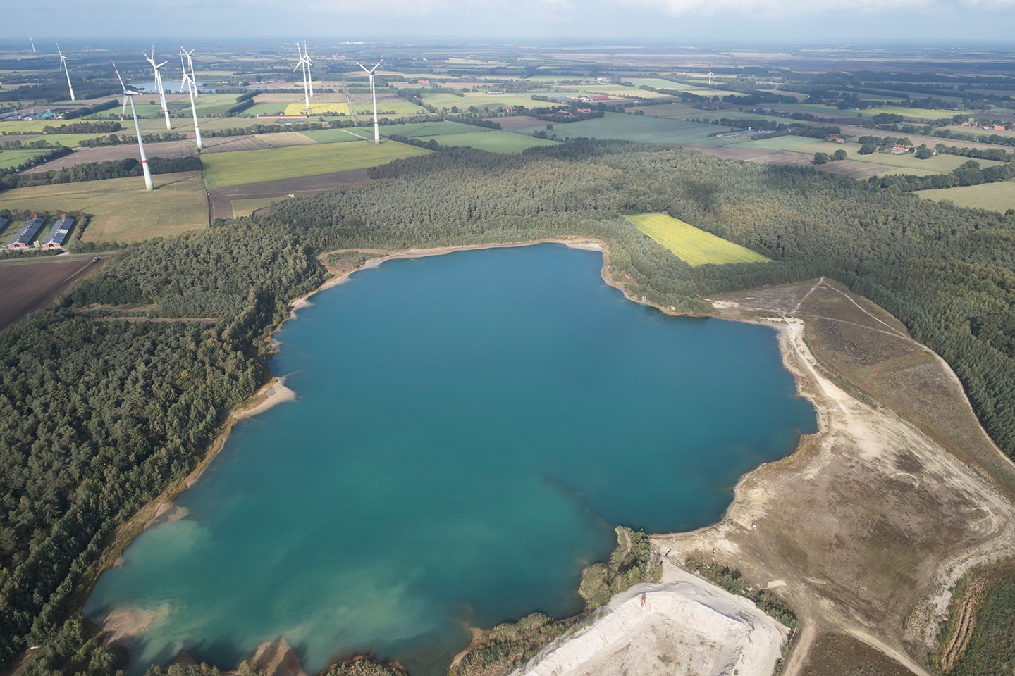 Die Gewinnungsflächen wirken sich bereits während der Abbauphase positiv auf die Artenvielfalt aus.