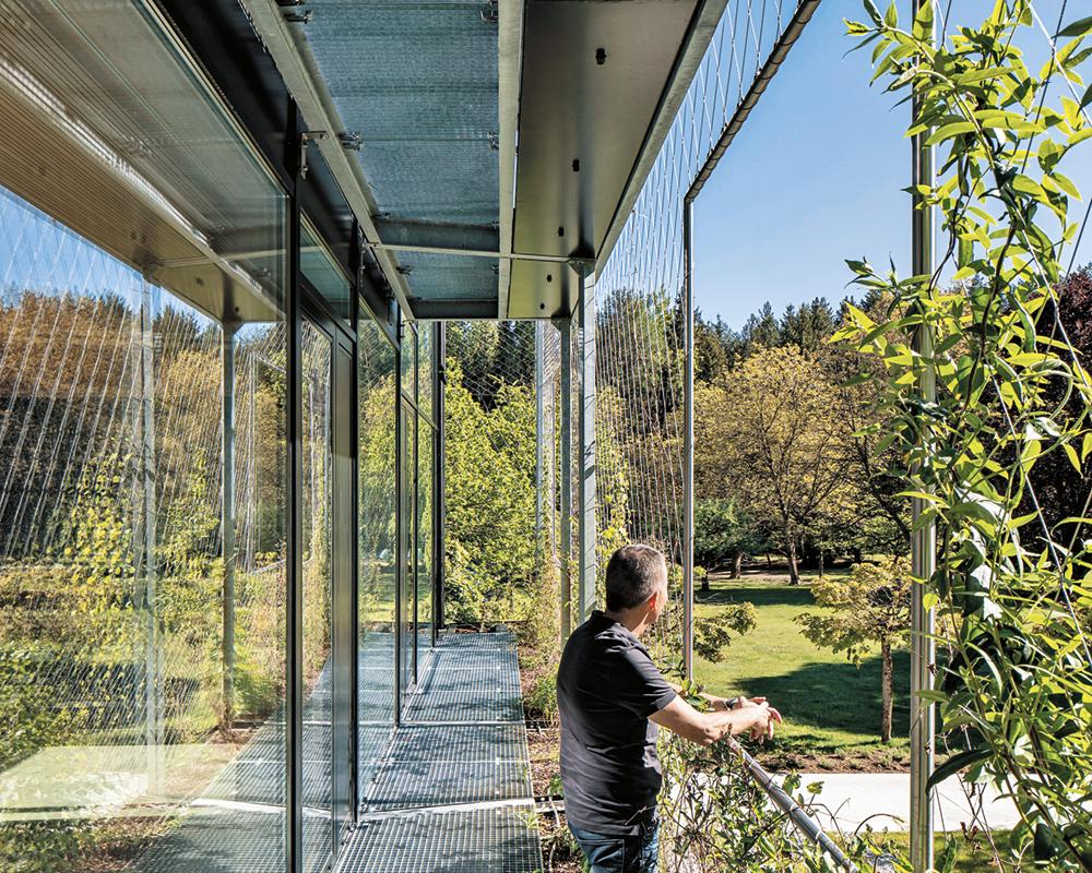 An der Westseite des Gebäudes wird das vorgelagerte Rankgerüst als Balkon genutzt. Die begrünte Fassade dient als Blendschutz und zur Beschattung der großzügigen Glasflächen.