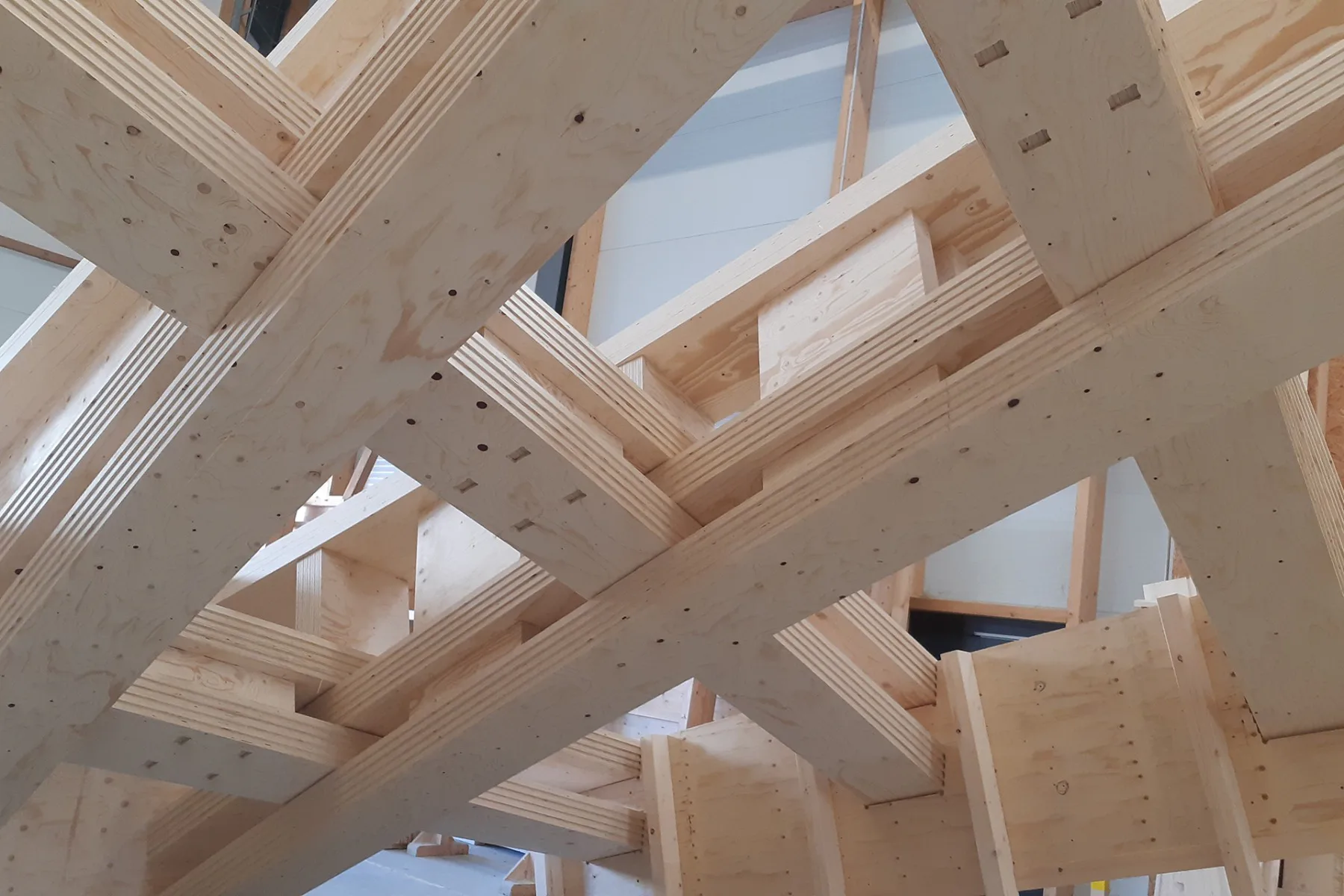Als Gitterschale zusammengesetzt, überspannen die Träger aus Fichten-Furnierschichtholz, (Laminated Veneer Lumber/LVL).
