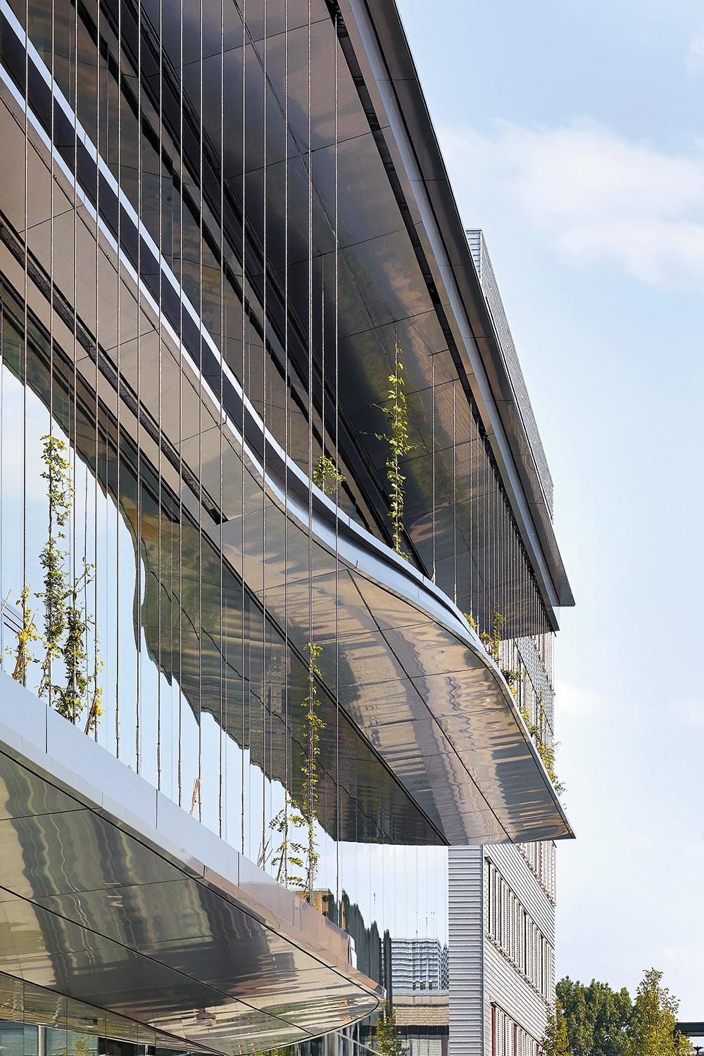 Balkone verschatten die Glasfassade und bieten Platz für Pflanztröge. An Seilen geführte Kletterpflanzen werden mit der Zeit einen grünen Vorhang ausbilden.