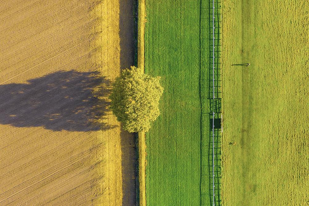 Grenzen entstehen nicht nur durch Gebautes. Auch Hecken, Zäune und Bäume zonieren die Landschaft, charakterisieren Orte und geben Orientierung.
