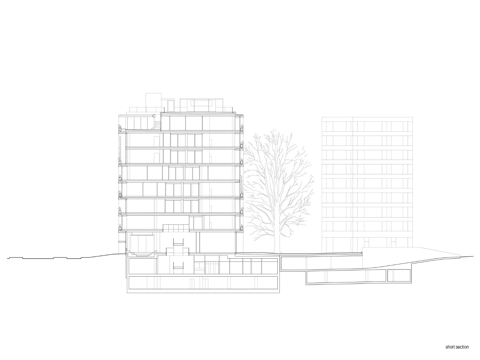 Querschnitt, Grafik