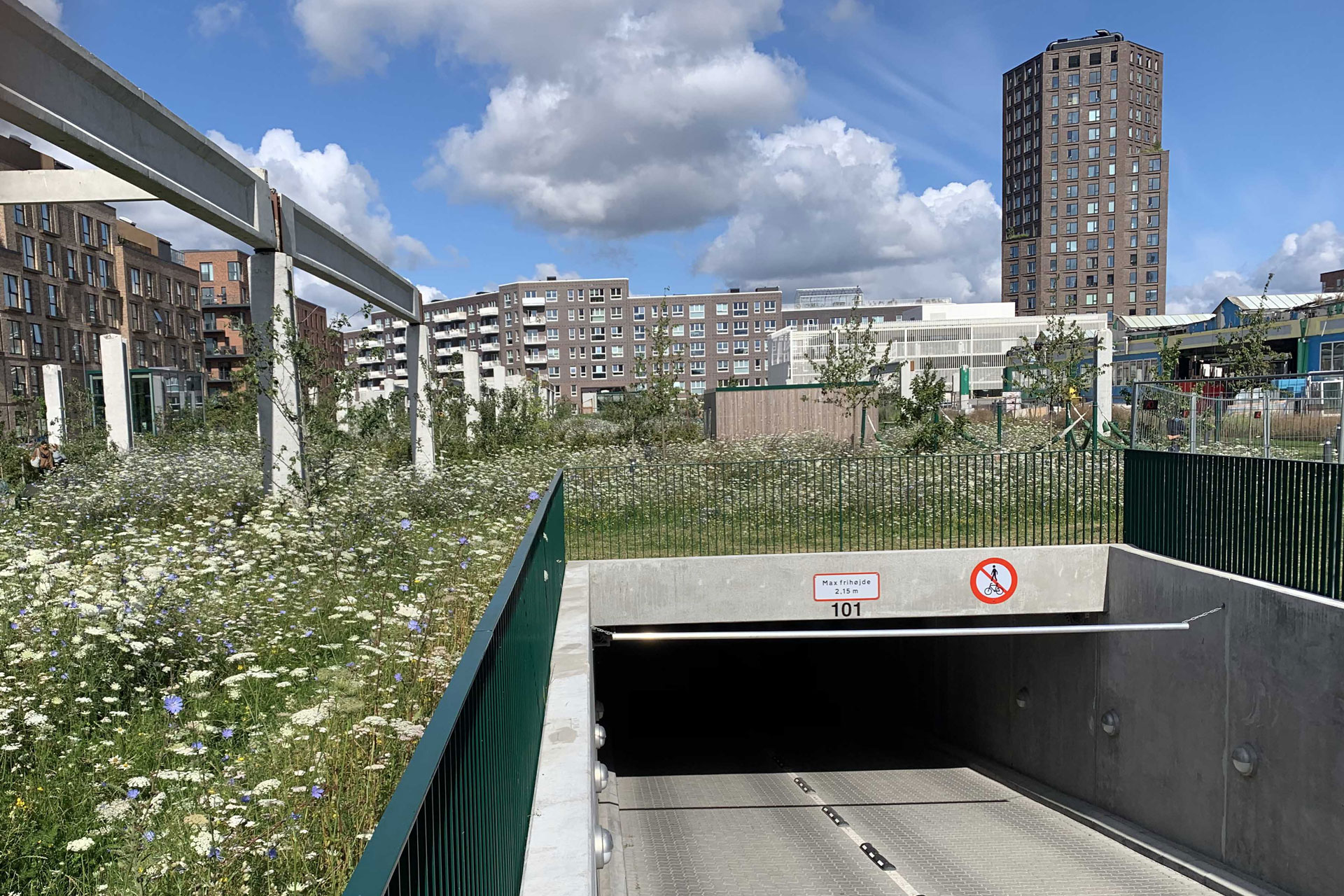Glücklicherweise verschwinden alle parkenden Autos unter dem prachtvollen Grün.