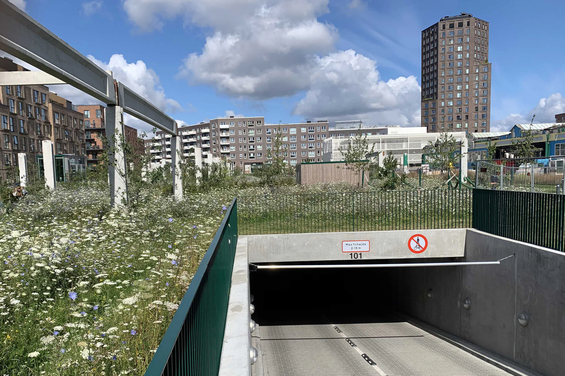 Glücklicherweise verschwinden alle parkenden Autos unter dem prachtvollen Grün.