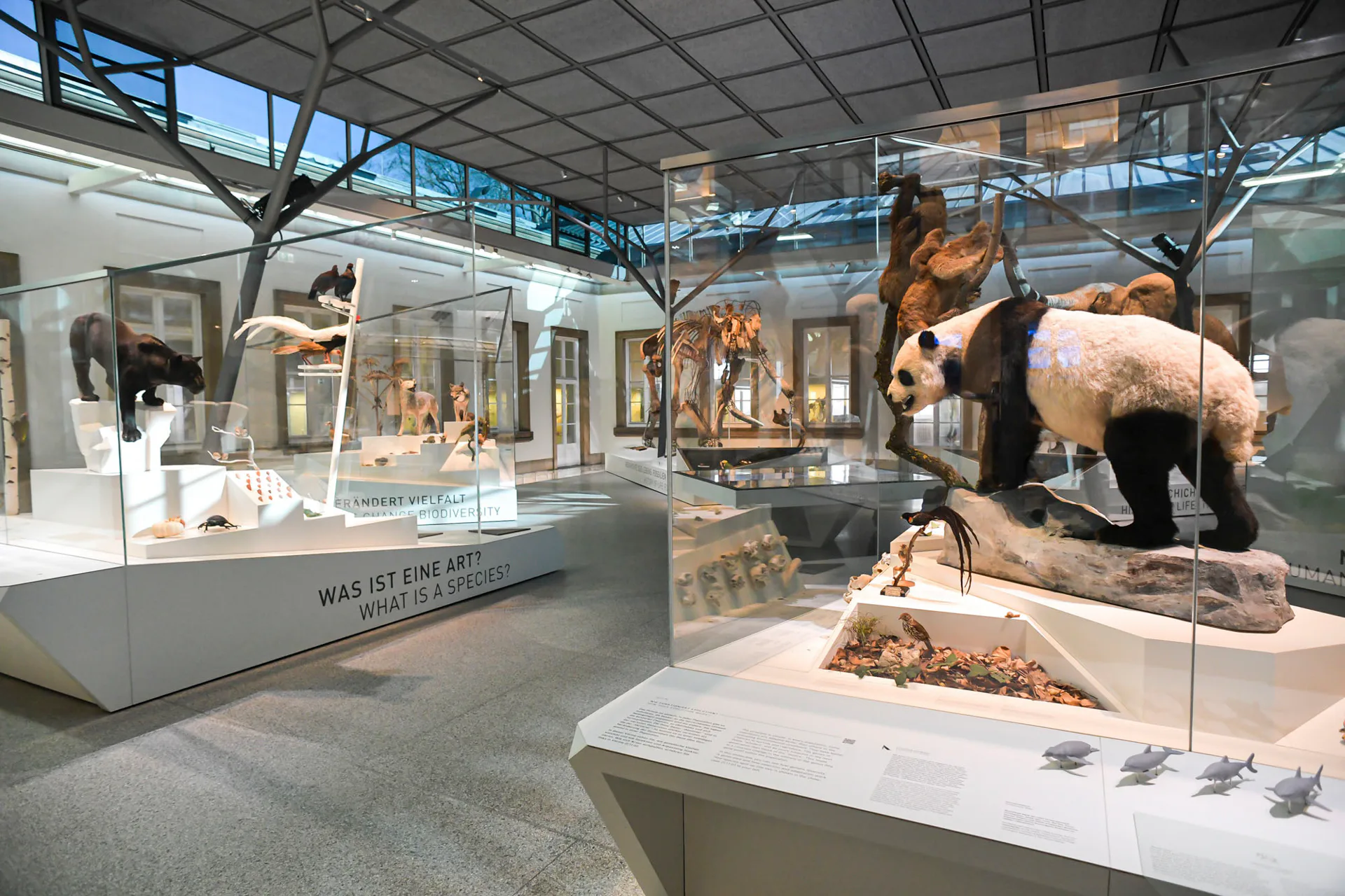 Blick in die Ausstellung.
