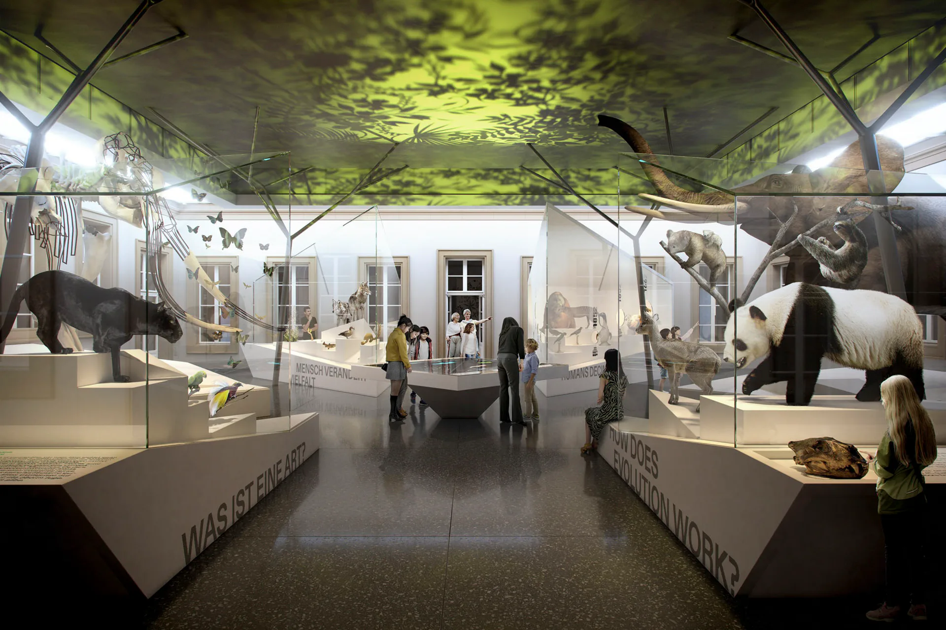 Evolutionssaal, Rendering