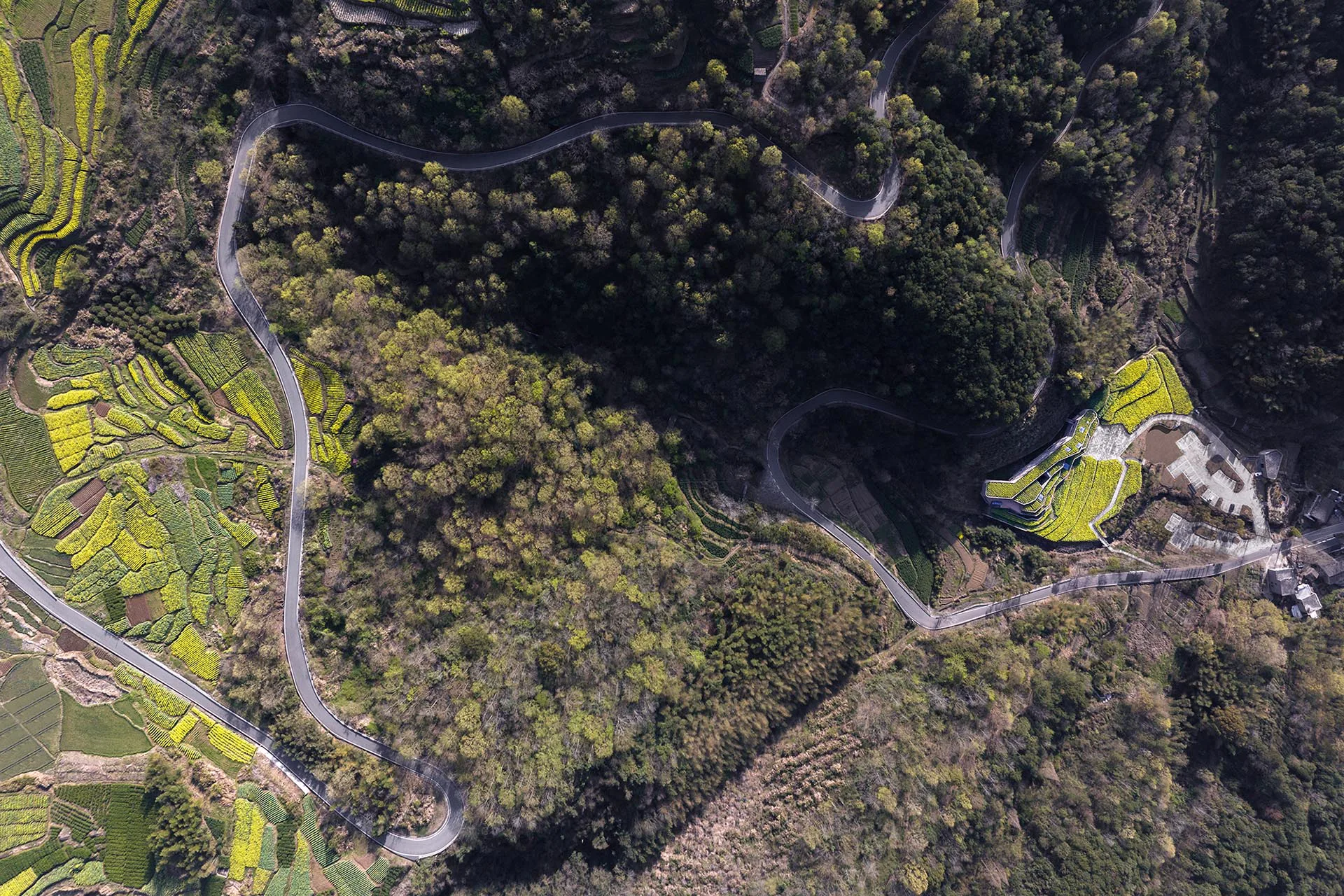 The architects designed the building as a continuation of the local terrain.