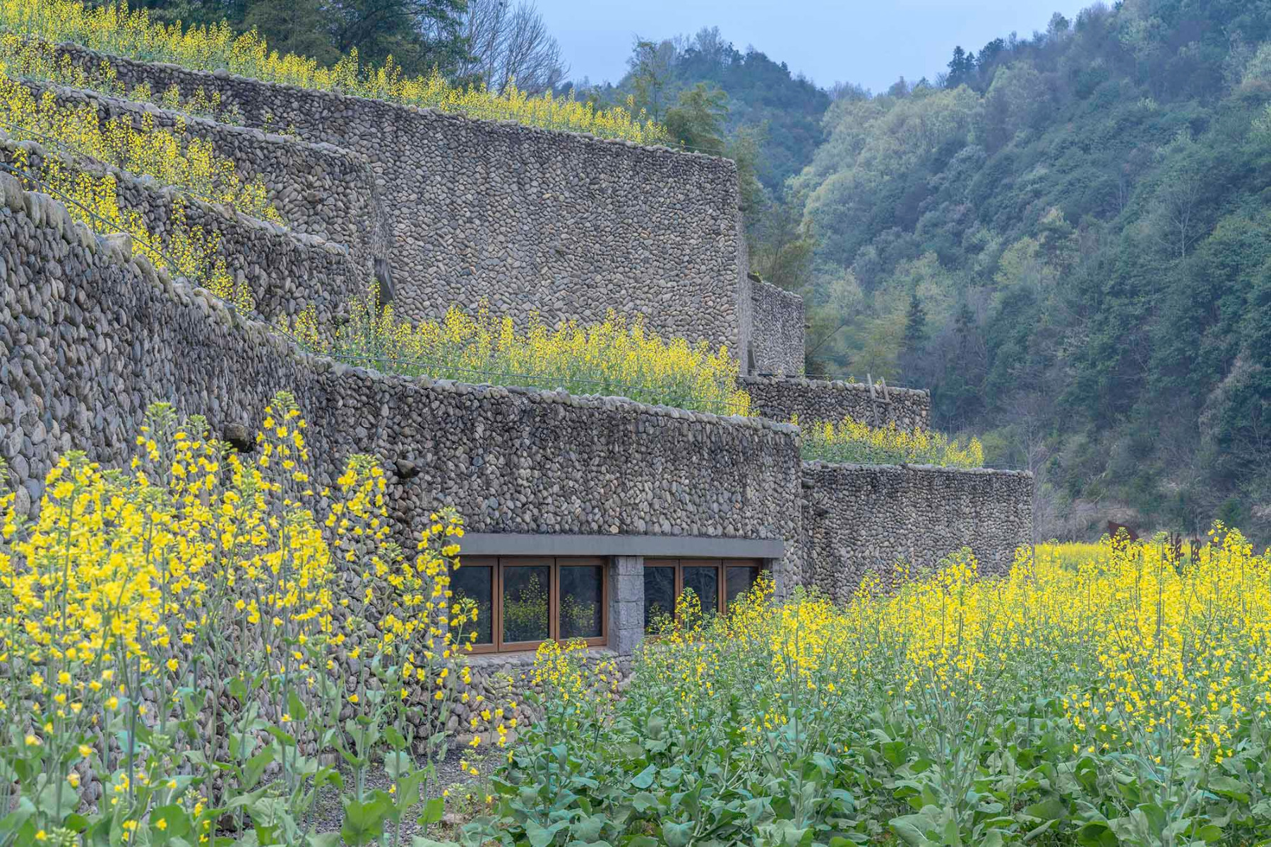 Qingxi-Kulturmuseum in Ningbo von UAD