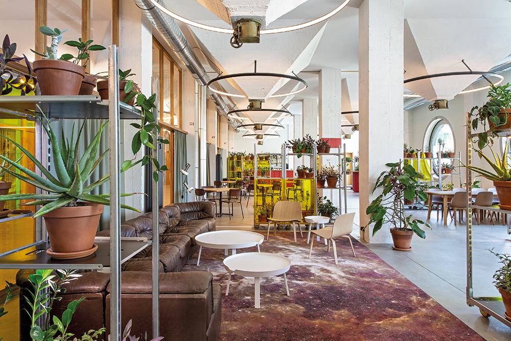 Stahlregale mit vor dem Wegwerfen geretteten Topfpflanzen gliedern den weitläufigen Gastraum des Restaurants.