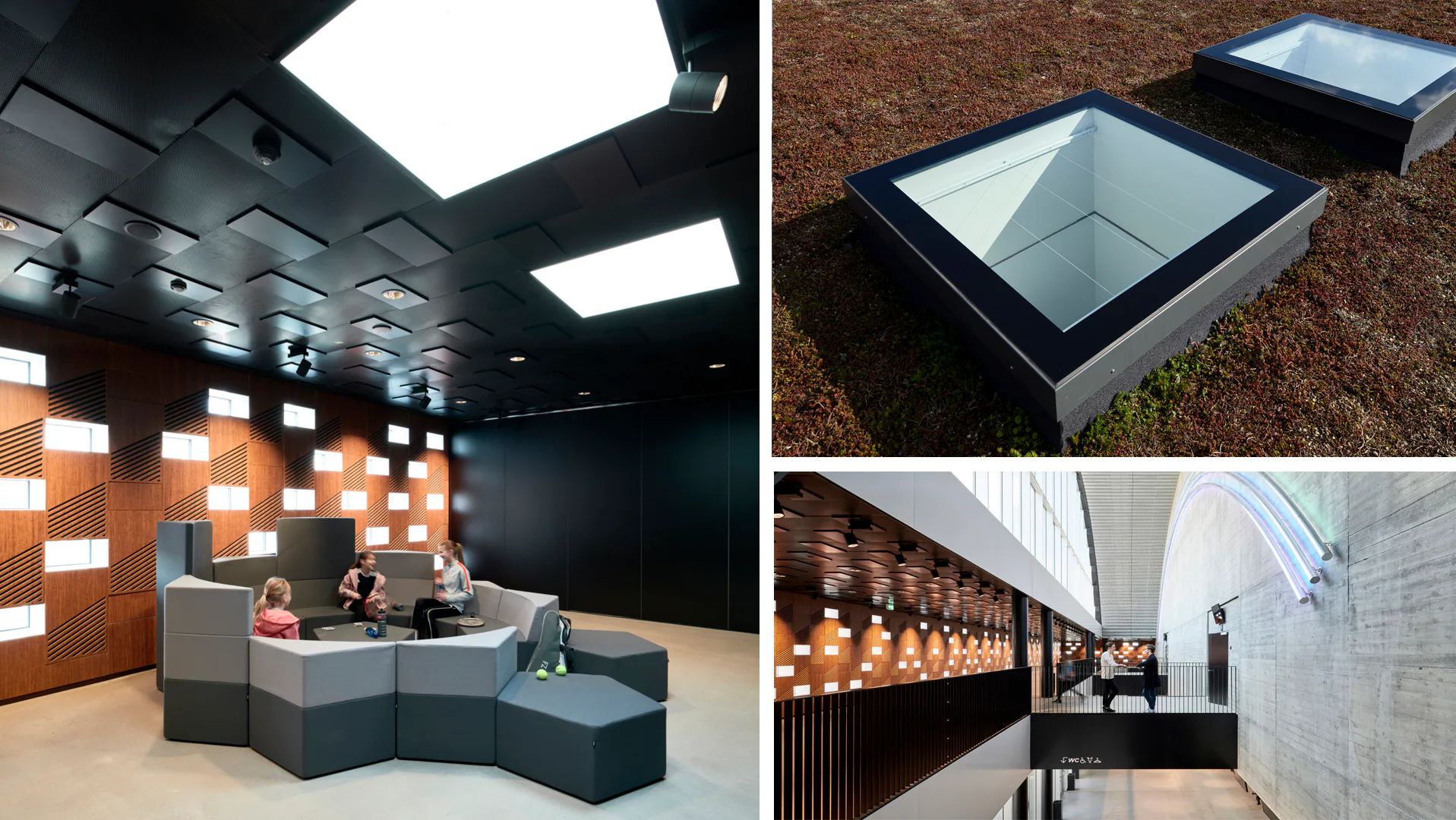 Velux Modular Rooflights sorgen durch punktuelle Belichtung mit Monolights im Sportbau K.B. Hallen in Dänemark immer für die richtige Menge Licht.