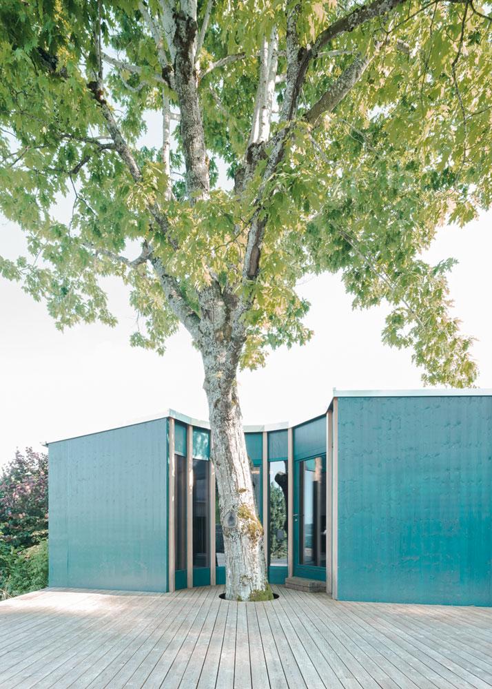 Im Zuge der Planung wurde die Sauna ausgegliedert und erhielt einen eigenen Baukörper. Dabei lässt die gerundete Fassade Platz für die bestehende Eiche.