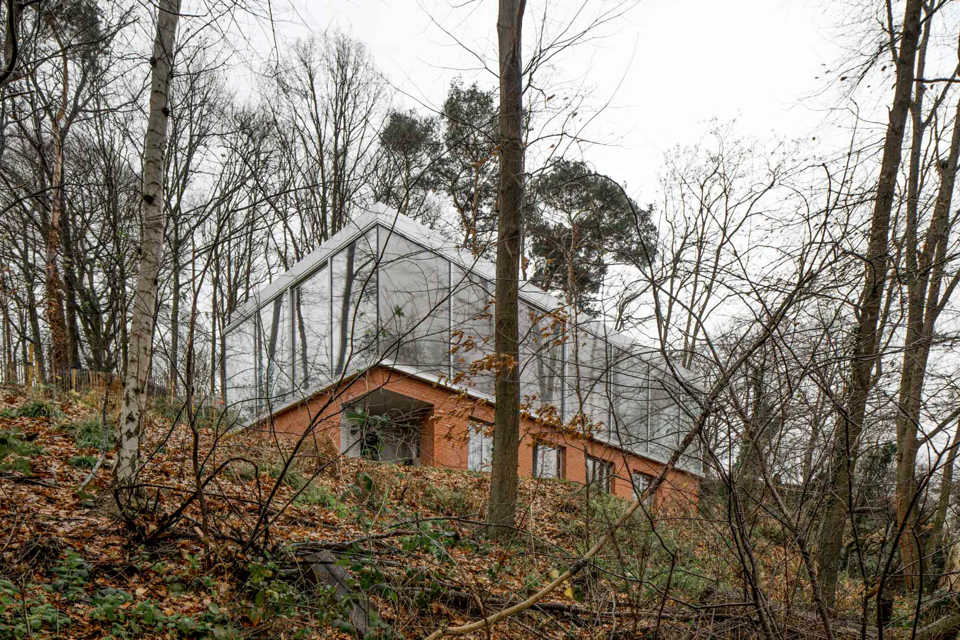 Haus M