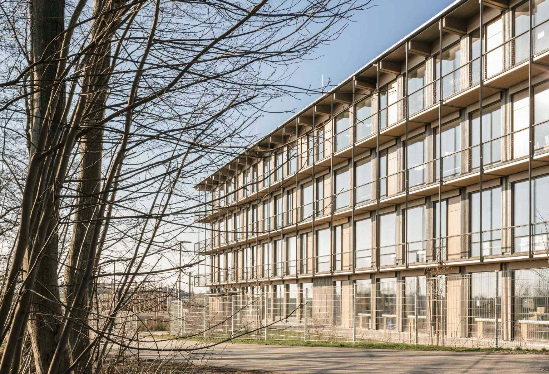 Das dritte mit der höchsten Auszeichnung prämierte Projekt ist die Grund-, Mittel- und Realschule. 1. Bauabschnitt, Odelzhausen von Schankula Architekten.