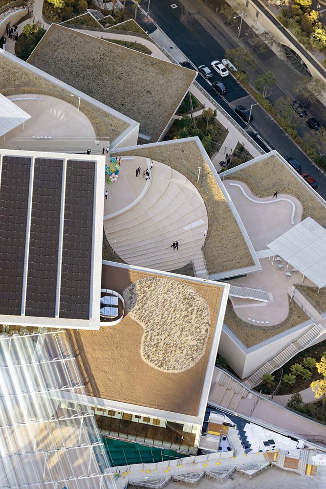 The roof surfaces comprise a diverse assembly of different structures, colours and materials, reminiscent of a colossal work of art.