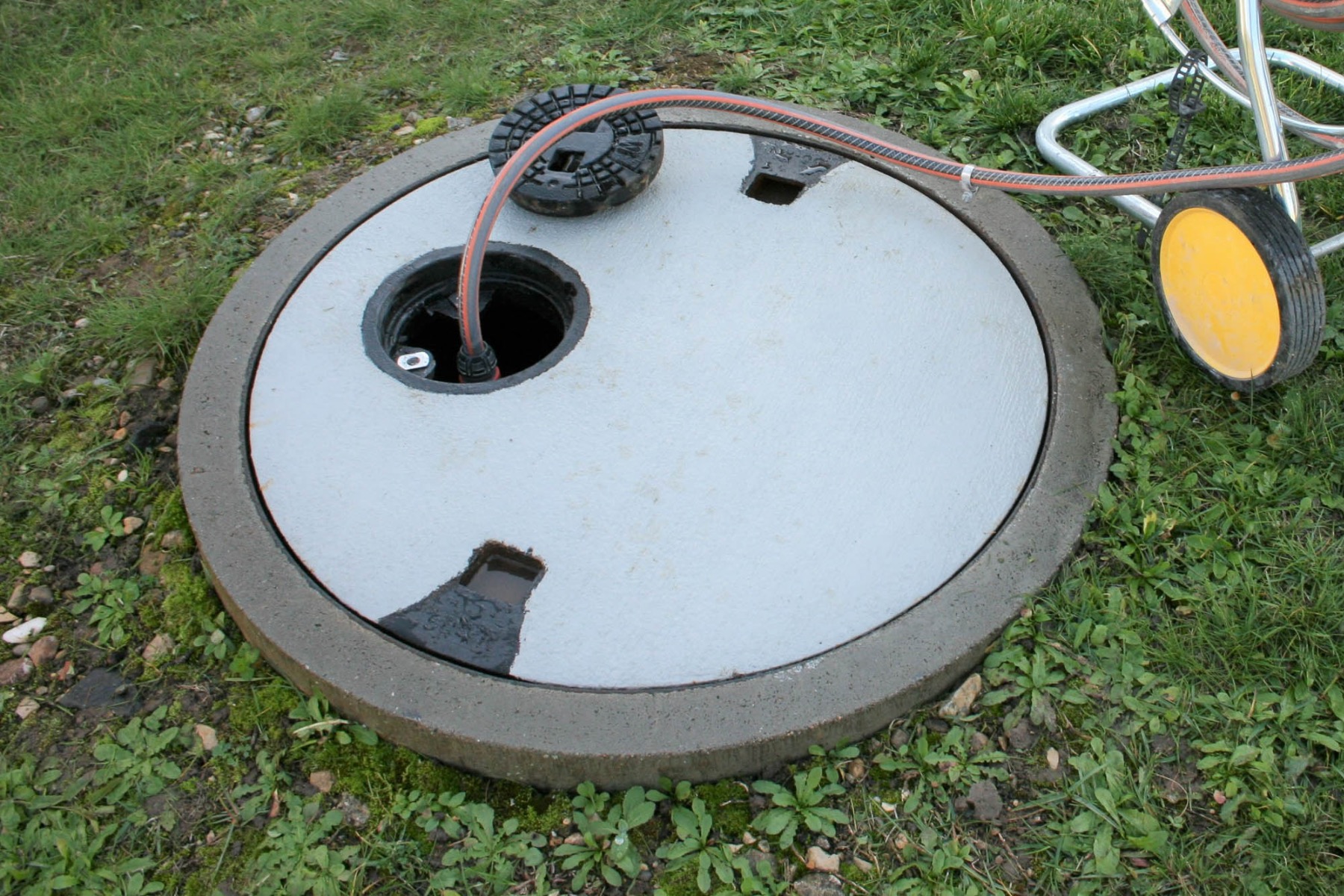 Nutzung von Regenwasser im Garten