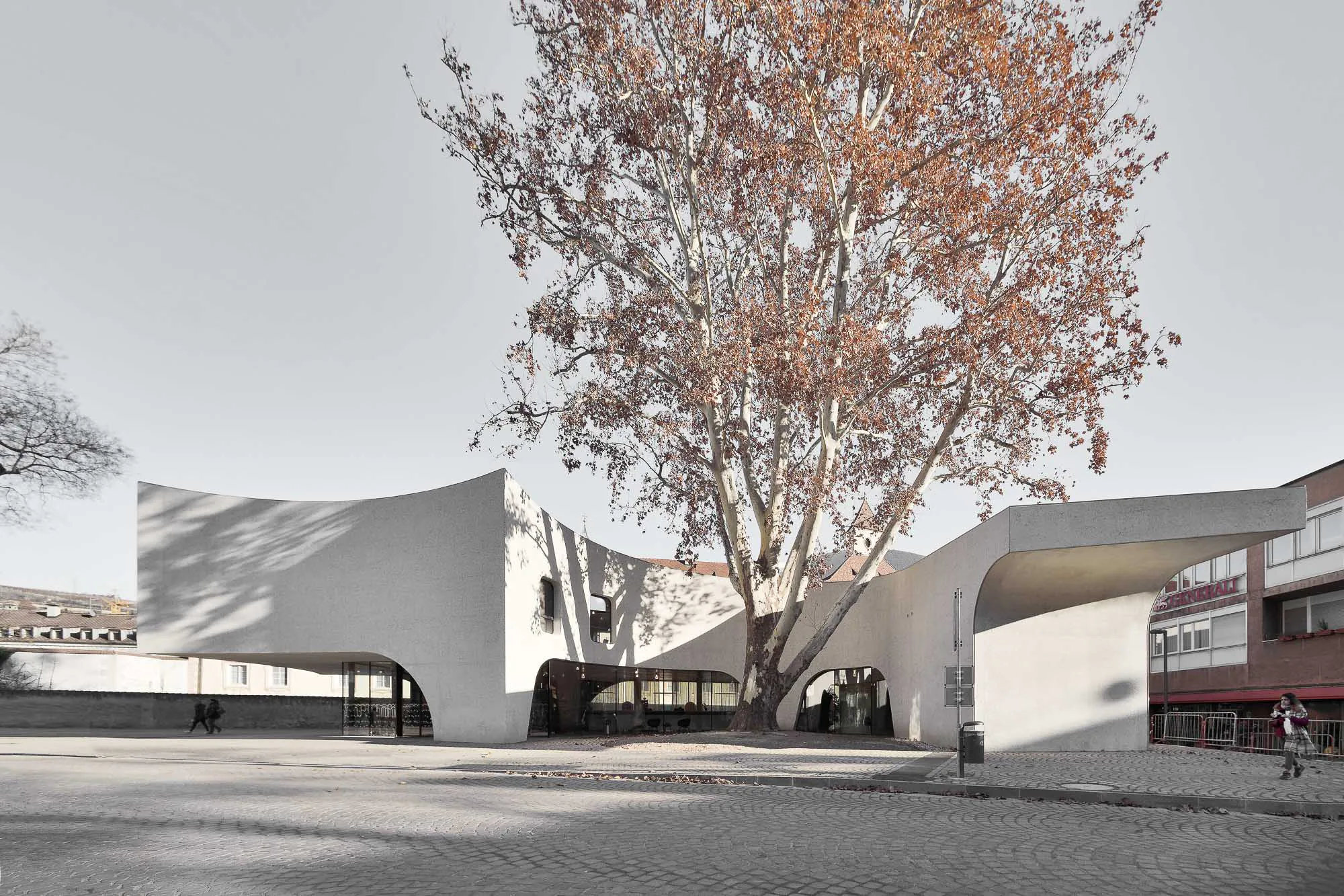 Tree Hugger von Modus Architects