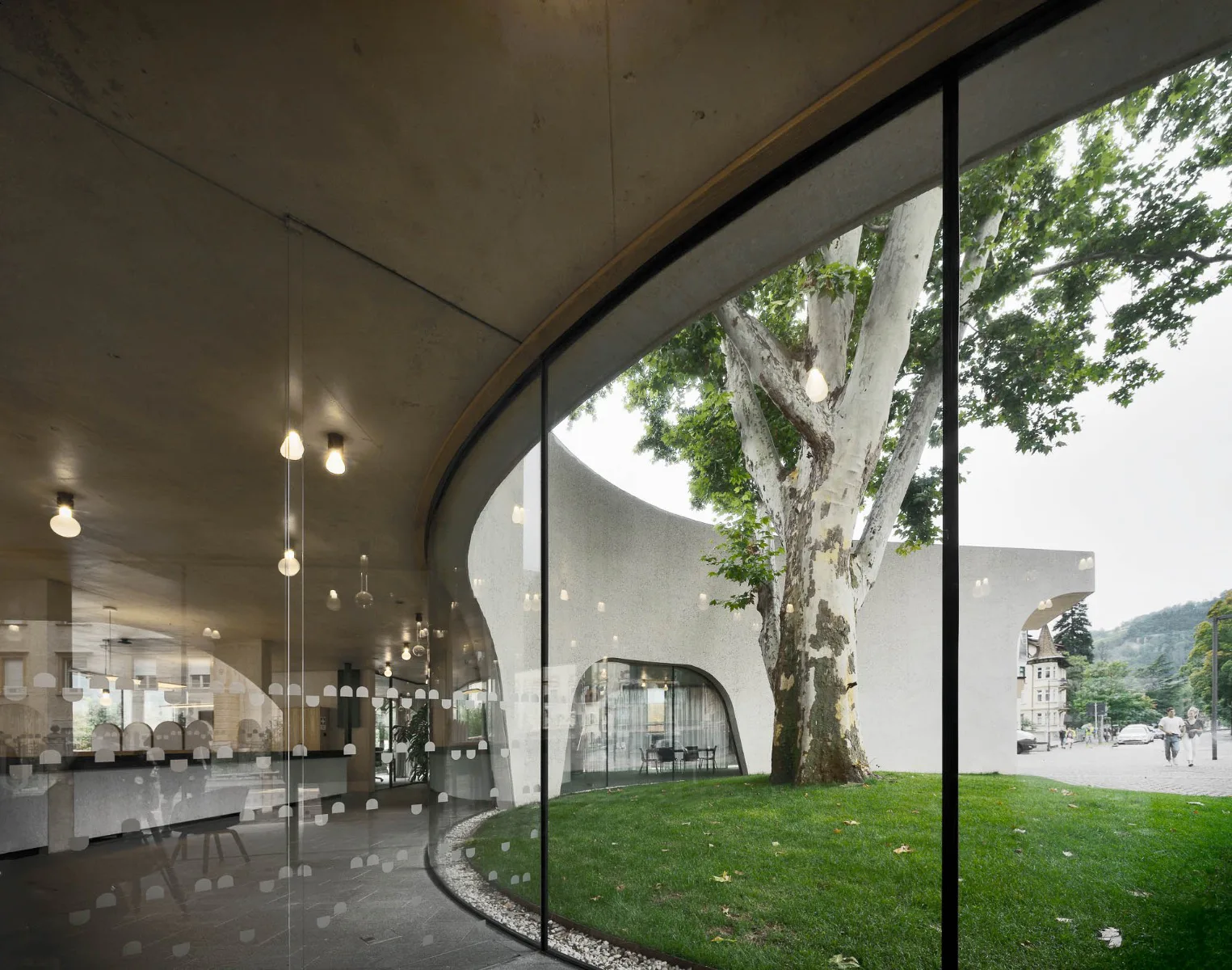 Treehugger Raumfluss zwischen Innen und Außen, Architektur: Modus Architects