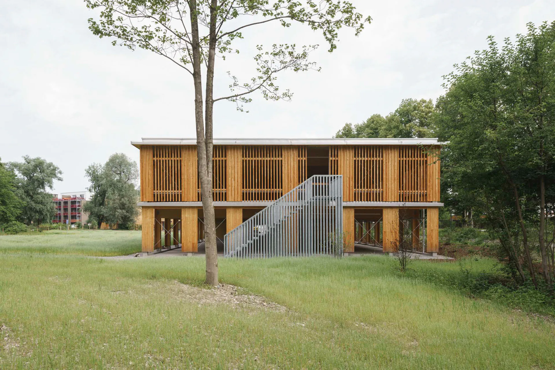Die tragenden Elemente über dem Erfgeschoss des Parkhauses bestehen aus Baubuche.