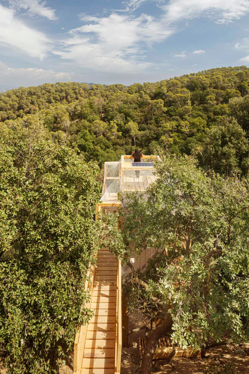 Das Gebäude ermöglicht Naturforschern, die lokale Artenvielfalt aus den Baumkronen heraus zu beobachten.