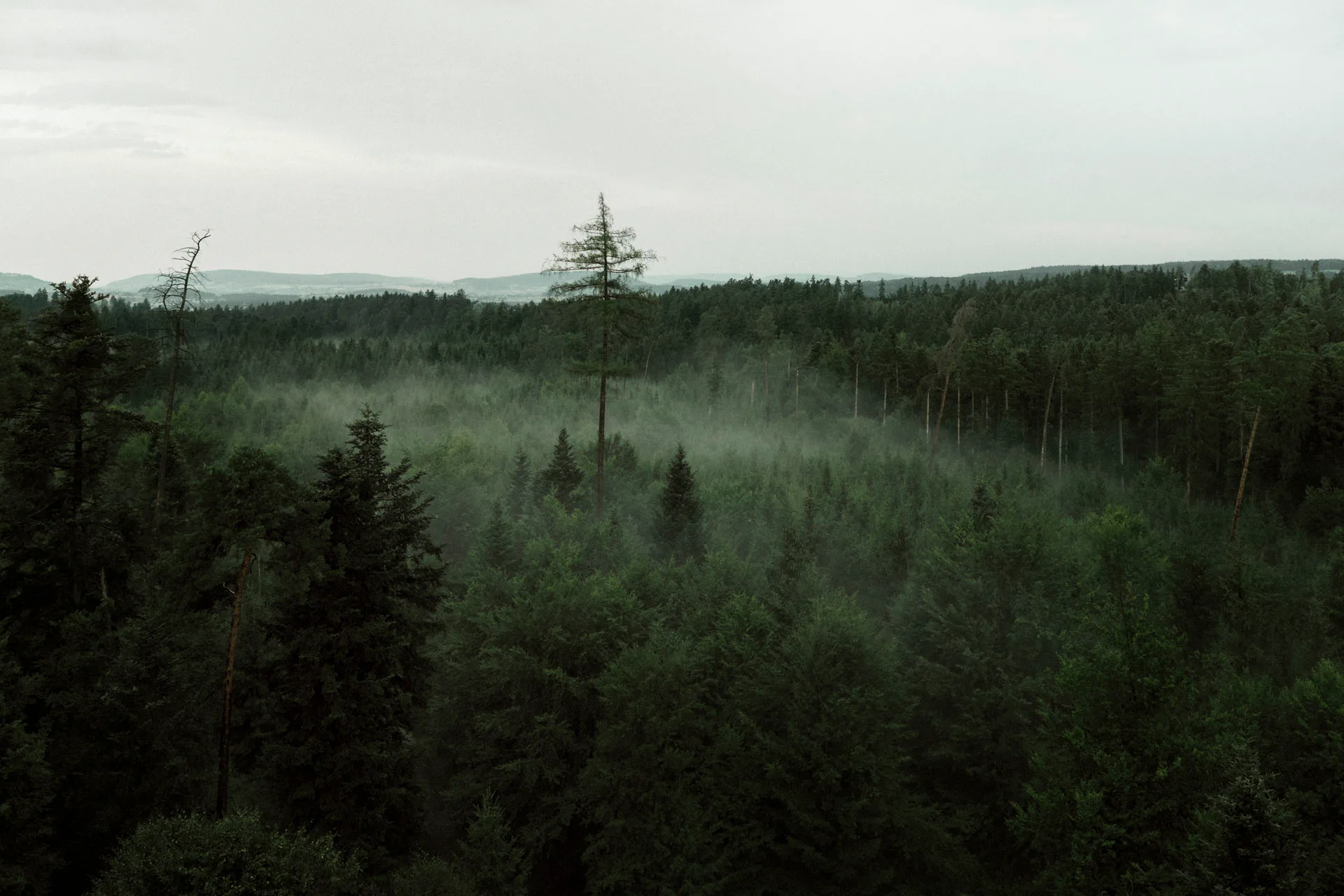 Blick vom Aussichtstum aus 40 m Höhe auf die Landschaft