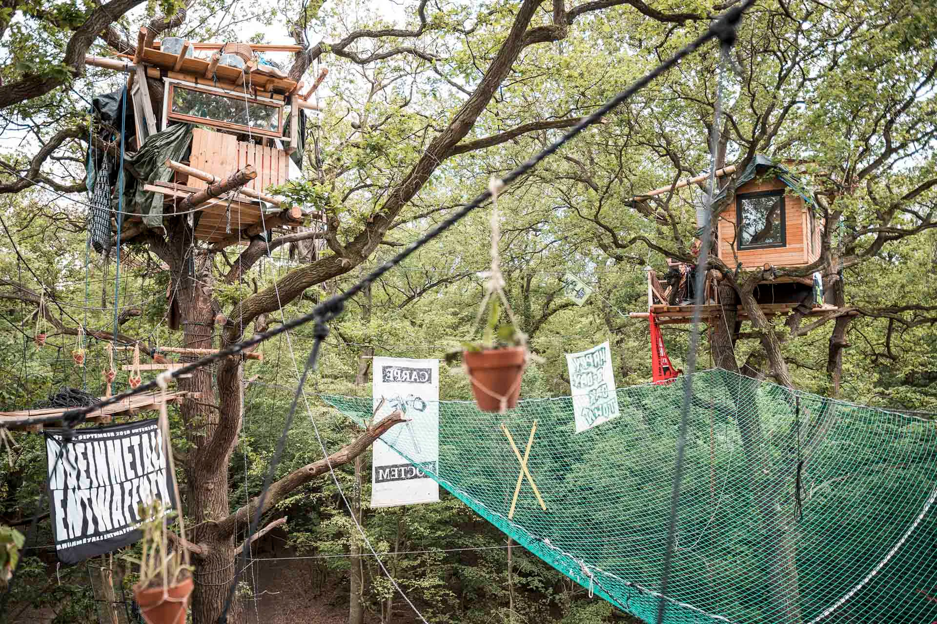 Besetzung seit 2012, Baumhaussiedlung im Hambacher Forst