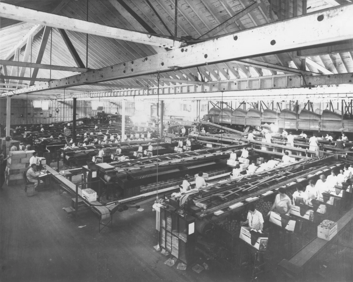 Historische Fotografie: 1918 errichtete die Santiago Orange Growers’ Association eine Lager- und Verpackungshalle für ihre Produkte.