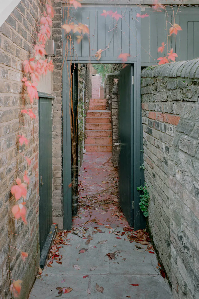 Weg zum Garten