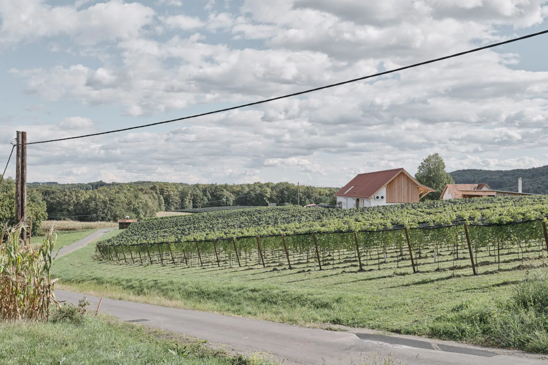 Im Süden Österreichs liegt der Weinhof auf der Anhöhe des ehemaligen Bauernguts.