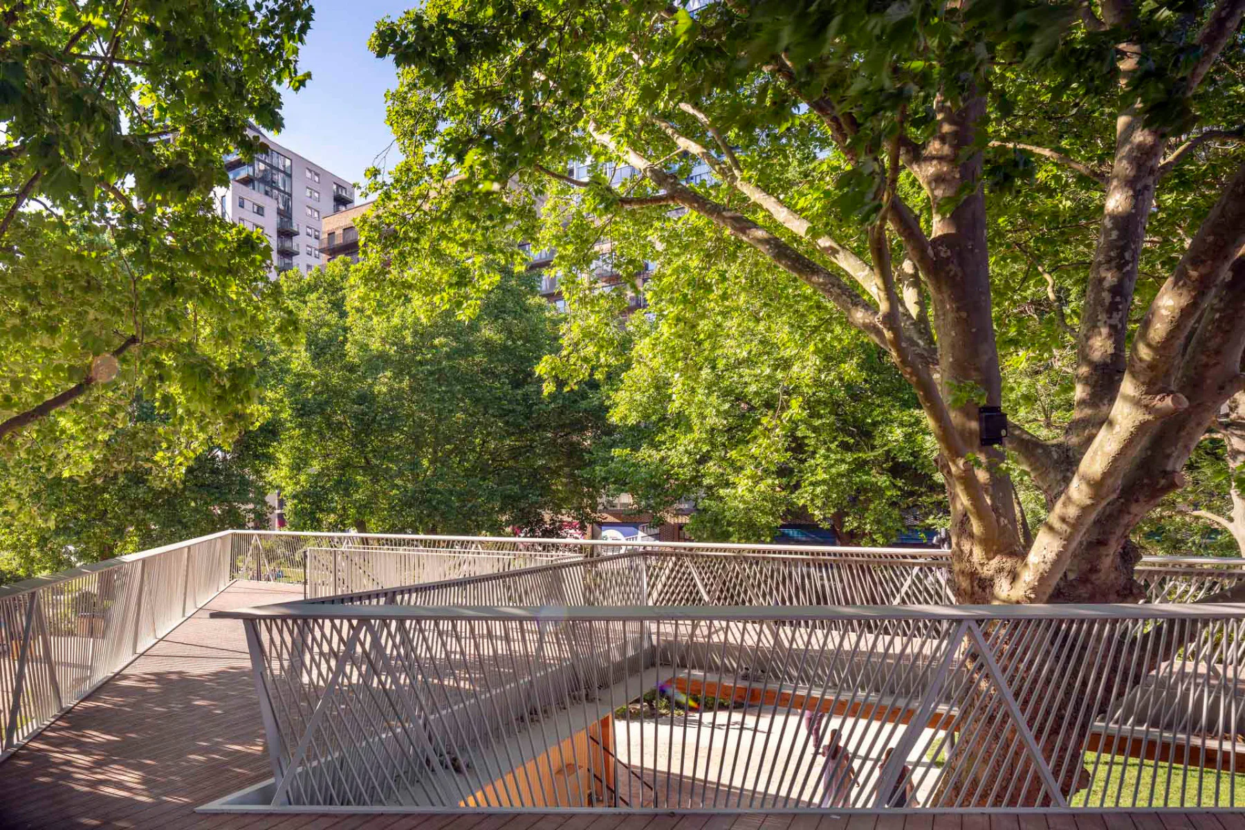 Dachterrasse zwischen den Baumkronen