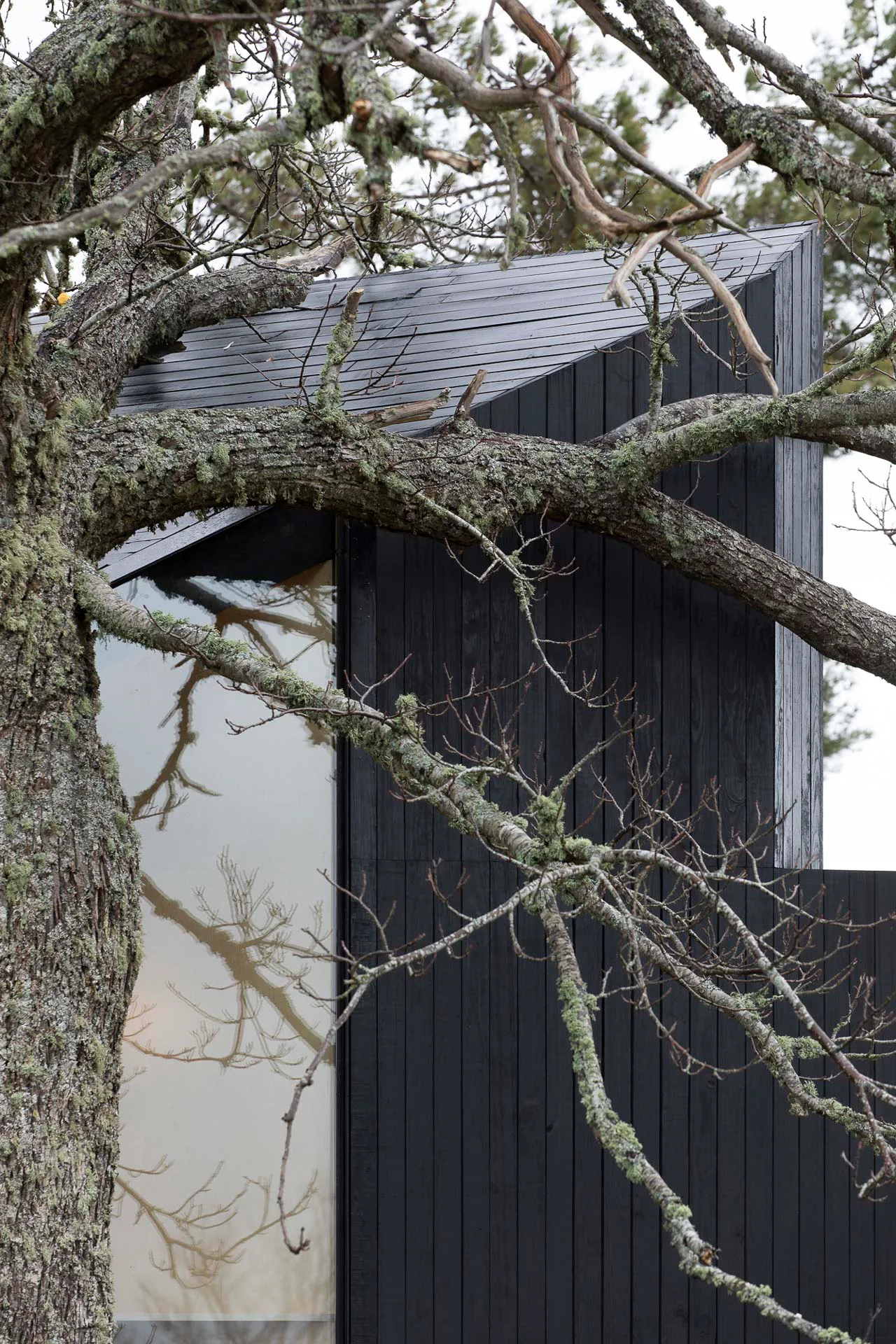 Die kahlen Äste harmonieren auch im Winter mit dem dunklen Holz der Hütte.